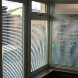 conservatory1